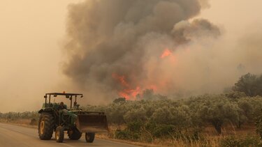 Φωτιές: Υψηλός ο κίνδυνος πυρκαγιάς σε Αττική, Βοιωτία και Εύβοια