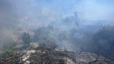 Φωτιά στο Ασήμι: Και ελικόπτερο στη μάχη με τις φλόγες - Φωτογραφίες