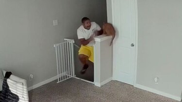 Γάτα καραδοκεί και άνδρας κατατρομάζει...