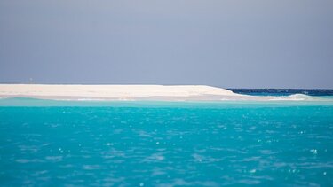 Μοιραία βουτιά για 58χρονο στα Φαλάσαρνα
