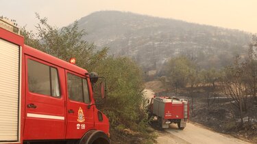 Έβρος:Η πτώση της έντασης των ανέμων και οι αντιπυρικές ζώνες ενισχύουν την άμυνα κατά του πύρινου μετώπου