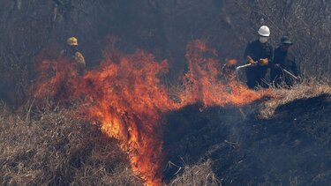 Πυρκαγιά σε δασική περιοχή στην περιοχή Κυμισάλα της Ρόδου