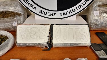 Δίωξη Ναρκωτικών: οι πολύμηνες έρευνες, το άπιαστο «κεφάλι» και η …ιερή καβάτζα με την κόκα - Δείτε ΒΙΝΤΕΟ