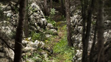 Περιπατητική διαδρομή Κεφαλάς – Σελλιά – Κεφαλάς