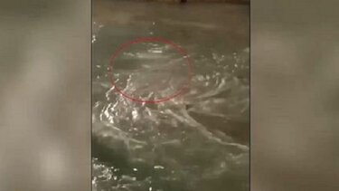  «Μπλέξαμε, μπλέξαμε» – Νέο ηχητικό ντοκουμέντο από τις συνομιλίες του πλοιάρχου με το Λιμεναρχείο 