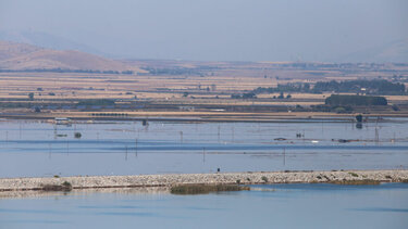 ΟΦΥΠΕΚΑ: Δεν διαπιστώνεται σημαντικό πρόβλημα ρύπανσης στα πλημμυρισμένα νερά της λίμνης Κάρλας