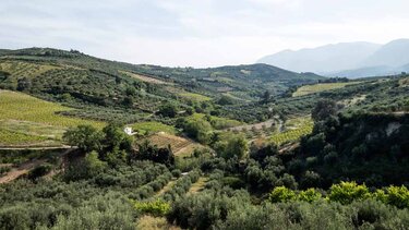 Συνεργασία Ευθύνης: «Το Μαλεβίζι της Θάλασσας και του Βουνού»