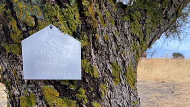 Γερμανοί θέλουν να σκορπιστούν οι στάχτες τους στην Κρήτη...