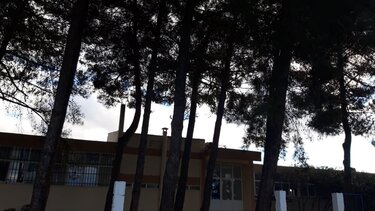 Σοβαρές ελλείψεις εκπαιδευτικού προσωπικού στο Γυμνάσιο Βαγιωνιάς