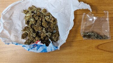 Η μικροποσότητα κάνναβης του φόρεσε χειροπέδες