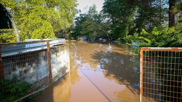 Φάμελλος: Θέλουμε με την παρουσία μας να στηρίξουμε τη Θεσσαλία