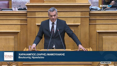 Μαμουλάκης στη Βουλή: Οι ιδιωτικοποιήσεις ναρκοθετούν την πορεία της χώρας