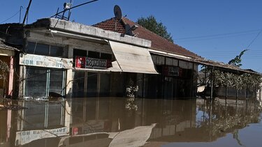 Η επόμενη μέρα μετά την κακοκαιρία Daniel για τη δενδροκομία και τις καλλιέργειες στη Θεσσαλία