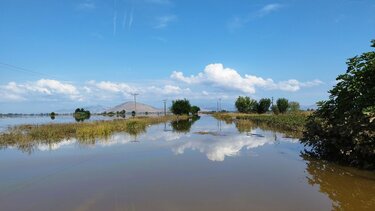 Κακοκαιρία Daniel: Λιμνοθάλασσα λασποβροχής ο Παλαμάς – Συνεχίζονται οι επιχειρήσεις απεγκλωβισμού