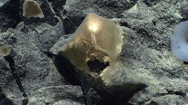 Αλάσκα: Μυστηριώδης χρυσή σφαίρα εντοπίστηκε στον ωκεανό 