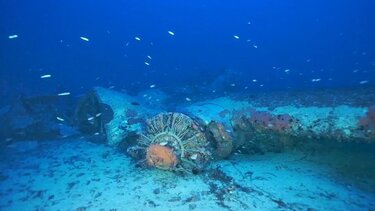 Δύτες ανακαλύπτουν τη σoρό σμηνία του Β' Παγμοσμίου Πολέμου