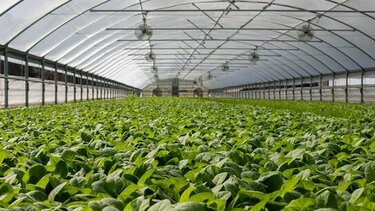 Στο Τυμπάκι της θερμοκηπιακής καλλιέργειας