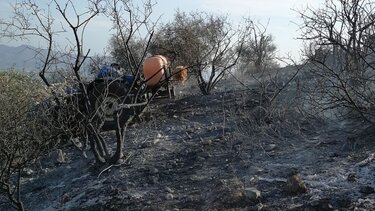 Σε ύφεση φωτιά που ξέσπασε στον Δήμο Φαιστού- Δείτε φωτογραφίες