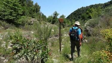 Ορειβατικός Σύλλογος Ηρακλείου: Στα Φαράγγια Καράνου – Μποριανό – Κυδώνι