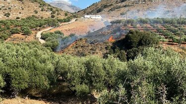 Η πυρκαγιά κινητοποίησε την Πυροσβεστική