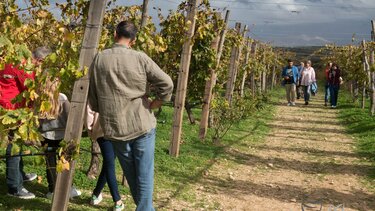 Ανοικτή πρόσκληση σε εστιατόρια της Κρήτης από το Δίκτυο Οινοποιών