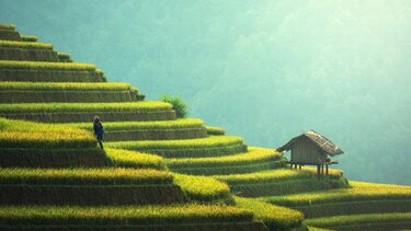 "Βεντέμα" περιμένουν στην Κίνα