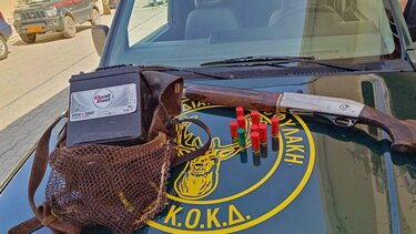 Κρήτη: Κυνηγούν παράνομα ορτύκια- Τα παγιδεύουν με ηχομιμητικές συσκευές