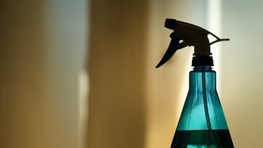 12 εύκολοι τρόποι για να απαλλαγείτε από την μούχλα στο σπίτι σας