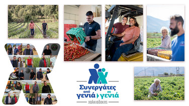 Στο Οροπέδιο Λασιθίου η συνεργασία περνά από γενιά σε γενιά!