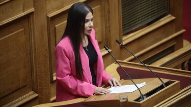 Στη Βουλή, από την Ελένη Βατσινά, ο “Γολγοθάς” για μια συμβολαιογραφική πράξη