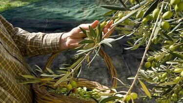 Η κατάσταση στον αγροτικό τομέα της Κρήτης απαιτεί ενότητα!