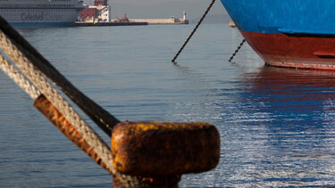 Πάνω από ένα εκ. ευρώ η ζημία στην αγροτική οικονομία, για κάθε ημέρα απεργίας της ΠΝΟ!