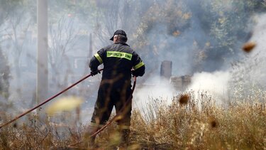 Συνελήφθη για εμπρησμό σε δασική έκταση στην Αμυγδαλέζα