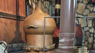 Παραγωγοί τσικουδιάς: Έχασαν το όνομα, αναζητούν ταυτότητα!