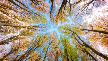 Αραιές νεφώσεις και νοτιάδες στην Κρήτη την Τετάρτη