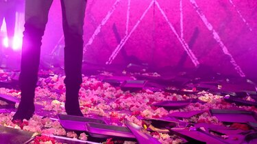 Στο μικροσκόπιο της ΑΑΔΕ τα νυχτερινά κέντρα: Έλεγχοι «ανά λεπτό» σε ποτά, πιάτα και λουλούδια