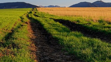  Οικόπεδα: Με νέα πρόστιμα απειλούνται οι ιδιοκτήτες