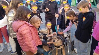 Στο 14ο Δημοτικό Σχολείο του πρόγραμμα "Ενσυναίσθηση και ζώα"