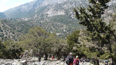 Κόβει την πίτα του ο Φυσιολατρικός Σύλλογος Ηρακλείου