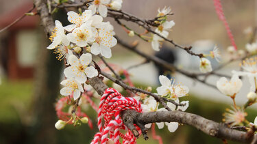 Η Ιστορία της Κυριακής: Το φυλακτό του Μάρτη - Ένα πανάρχαιο ελληνικό έθιμο