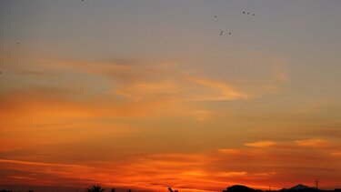 Τα μαγικά χρώματα της Ανατολής