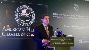 Αυγενάκης: Ο χώρος που πρέπει να βρίσκονται οι αγρότες είναι τα χωράφια και όχι τα γκισέ της γραφειοκρατίας