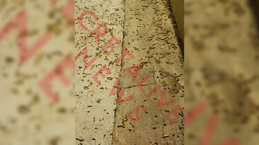 Βάπτιση σαν …πολεμική ανταπόκριση: με τις σακούλες έφεραν τις σφαίρες!