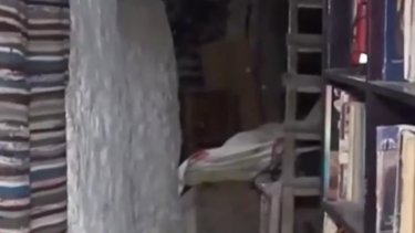 Εισαγγελική παρέμβαση για τα παιδιά που ζουν σε σπηλιά στην Κορινθία