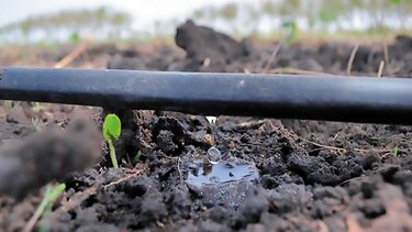 ΟΑΚ: Νέα «αναγκαστική διακοπή» στην άρδευση της περιοχής Μυλωνιανών Βαρυπέτρου