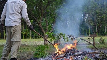 "Καμπάνα" σε Χανιώτη για υπαίθρια καύση