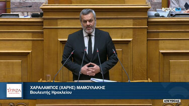 Μαμουλάκης για μη κρατικά πανεπιστήμια: «Οι επίορκοι του Συντάγματος θα πρέπει να λογοδοτήσουν»