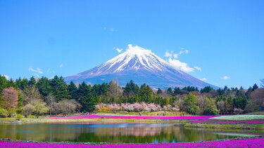 Το quiz της... Άνοιξης!