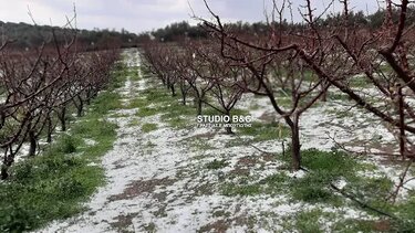 Ναύπλιο: Σφοδρή χαλαζόπτωση προκάλεσε μεγάλες ζημιές