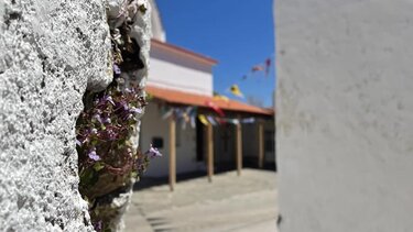 Ανακαλύψτε ένα ηρωϊκό χωριό της Κρήτης με πορεία ανάπτυξης